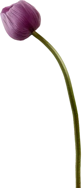 Blayden Decorative Image